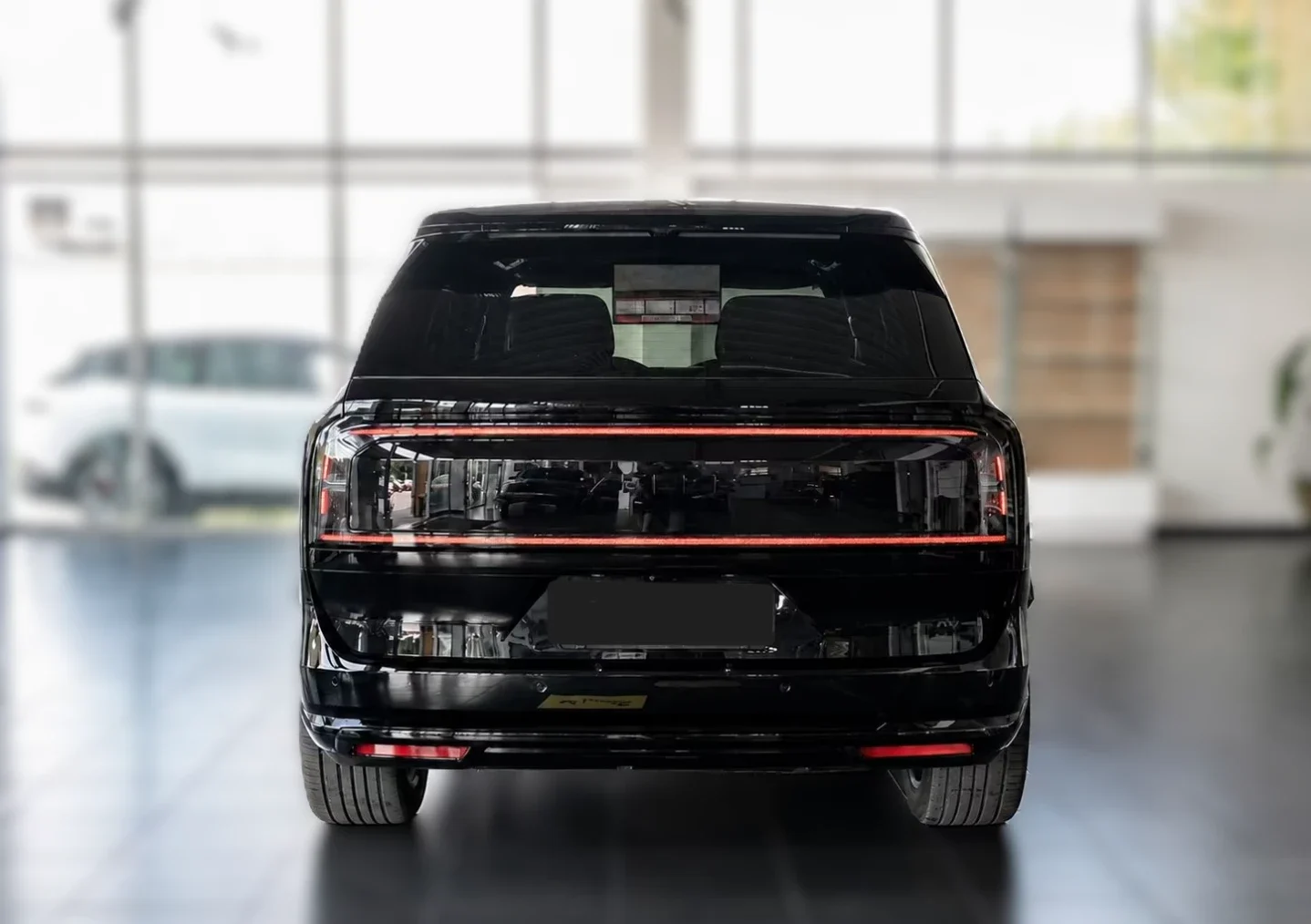 Zeekr Luxury 9X